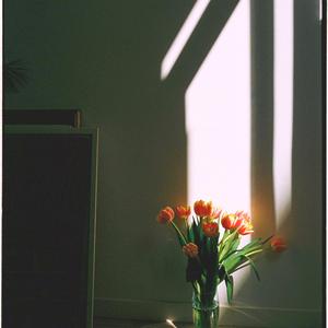 우울한 하루/ A Gloomy Day