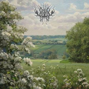 Where Roses Fade in Silence And The Sorrow of A Bleeding Mistress