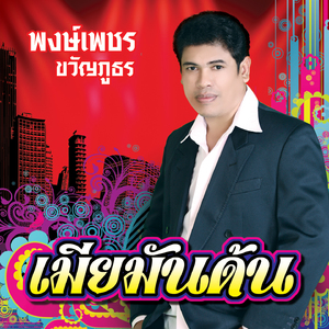 หนุ่มสวนยาง