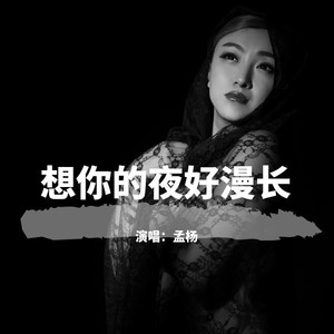 想你的夜好漫长DJ