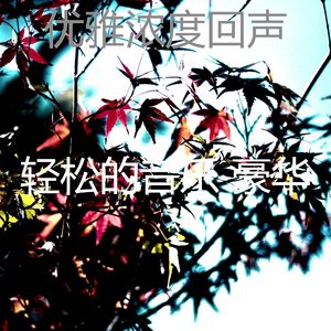 微妙的专注心情