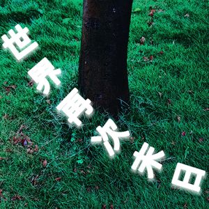 世界快毁灭（prod Eyoung）