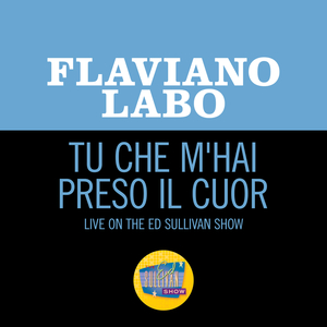 Tu Che M'Hai Preso Il Cuor