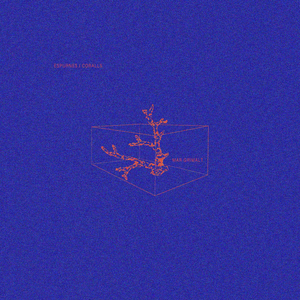 VIBRATS I PRETENSATS