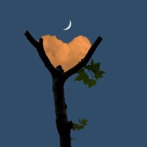 intro（薛爱雨 remix）