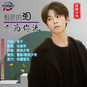 相思的泪只为你流