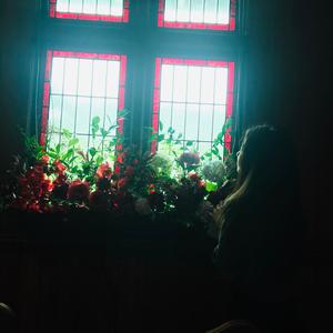 认真的老去（翻自 张希）