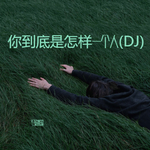 你到底是怎样一个人(DJ)