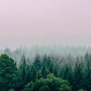 Soporific Sleepscape