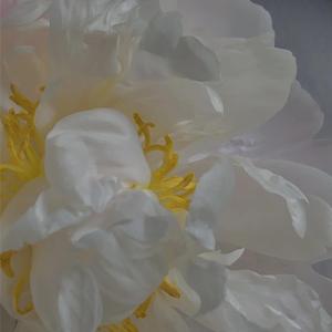 Колыбельная/Lullaby