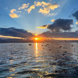 包容_情话比人美