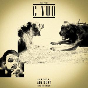 C Vuò