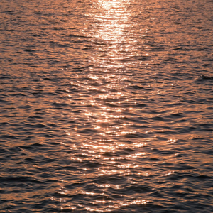 고요한 이 바다에