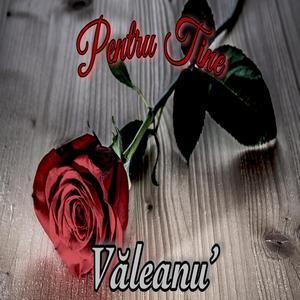 Pentru Tine