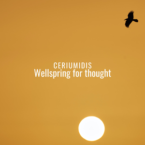 Wellspring for thought