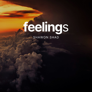 Feelings