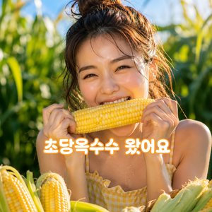 초당옥수수 왔어요