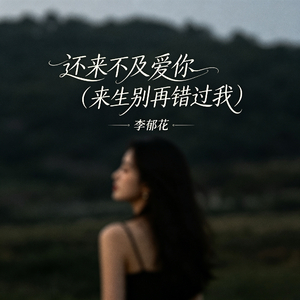 还来不及爱你（来生别再错过我）