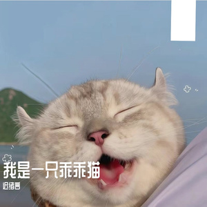 假装路过的街角