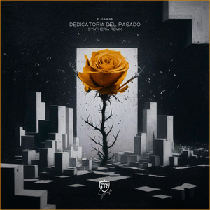 Dedicatoria del Pasado (Syntheria Remix)