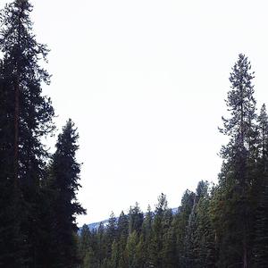 迪克牛仔-一样的月光(Vision of Le)（Tony·J remix）