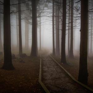 Suara Seram Bikin Deg Degan