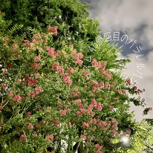 46億回目のパラレルパラレルサマータイム