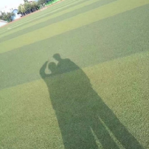 感受清晨的阳光part