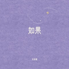 世上没有如果 (吉他曲)