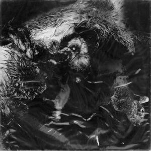 CHAINS (feat. Trechor Boy)