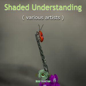 Emblematic Response (original mix)