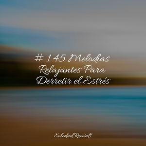 Disolvente De Problemas