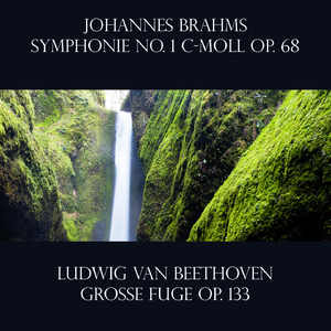 Große Fuge B-dur in B-Flat Major, Op. 133:Ouverture. Allegro Allegro - Fuga