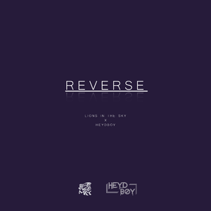 Heydboy-Reverse（LeoTAn Remix）
