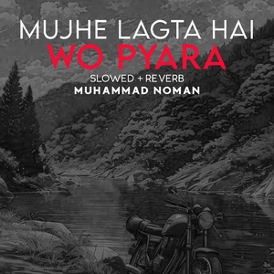Mujhe Lagta Hai Woh Pyara Lofi