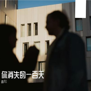 你消失的一百天