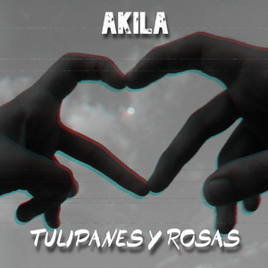 Tulipanes y Rosas