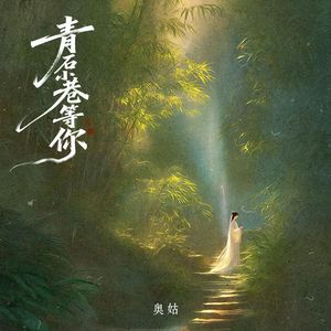 青石小巷等你