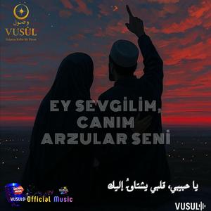 Arayı Arayım Bulsam İzini (feat. HÜSEYİN KAMİL KADIOĞLU) (World Music Label Remix)