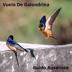 Vuelo de Golondrina