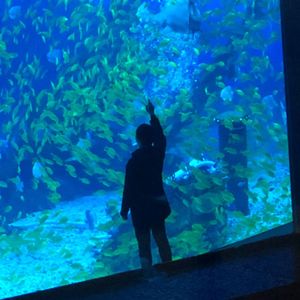 过海(instrumental)