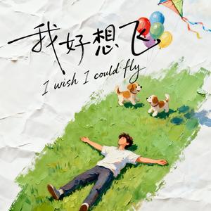 我好想飞