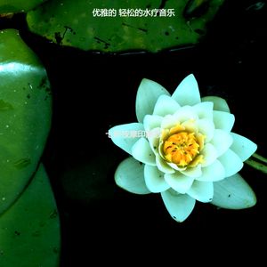 温和面部按摩梦想