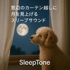 夢へとつづく月路