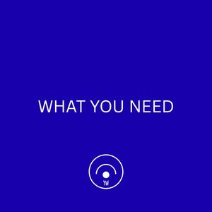 WHAT YOU NEED