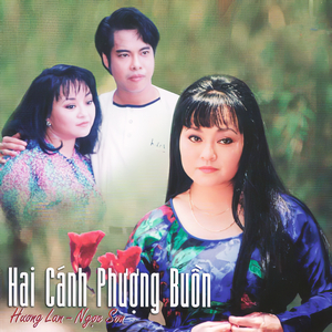 Hai Cánh Phượng Buồn