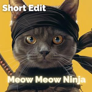 Meow Meow Ninja (Short Edit)