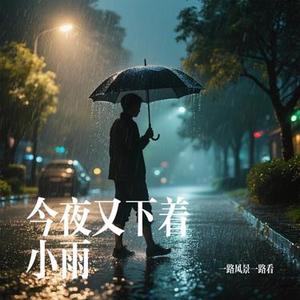 今夜又下着小雨 (Cover 苏星婕)