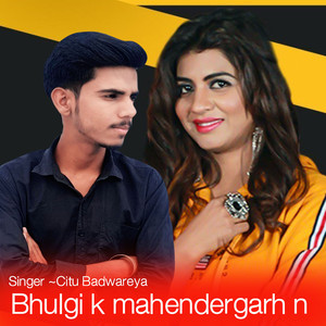 Bhulgi Ke Mahendergarh N