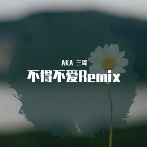潘玮柏-不得不爱remix（AKA 三哥 remix）